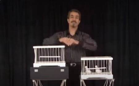 Aparição de 2 Gaiolas -Tora Fiv 2 Strange Cages Tora Magic Aluguer diário 30,00 euros Compra - Usado 670€ - Novo 875€  Veja Vídeo  https://www.youtube.com/watch?v=Xx9RABCKpUU